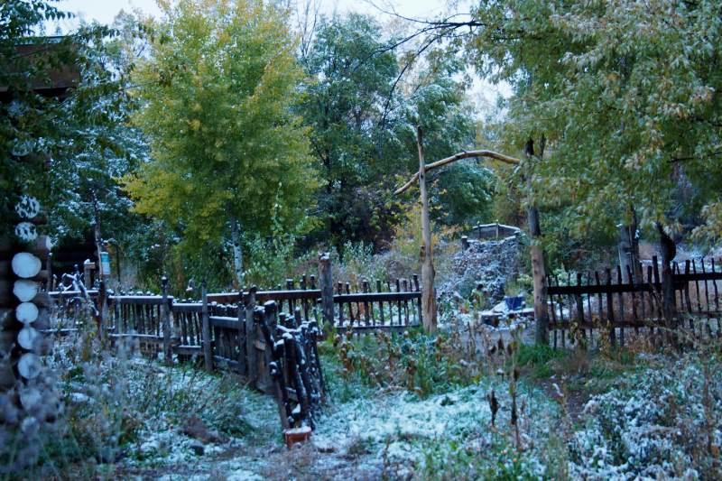 Taos Goji Farm & Eco-Lodge Retreat Arroyo Seco Exteriör bild