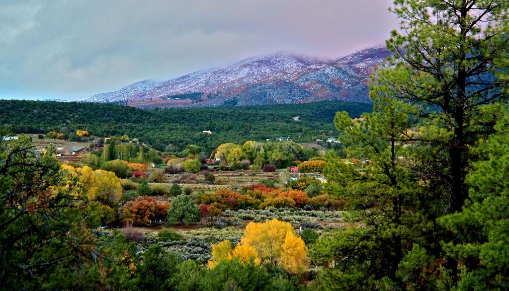 Taos Goji Farm & Eco-Lodge Retreat Arroyo Seco Exteriör bild