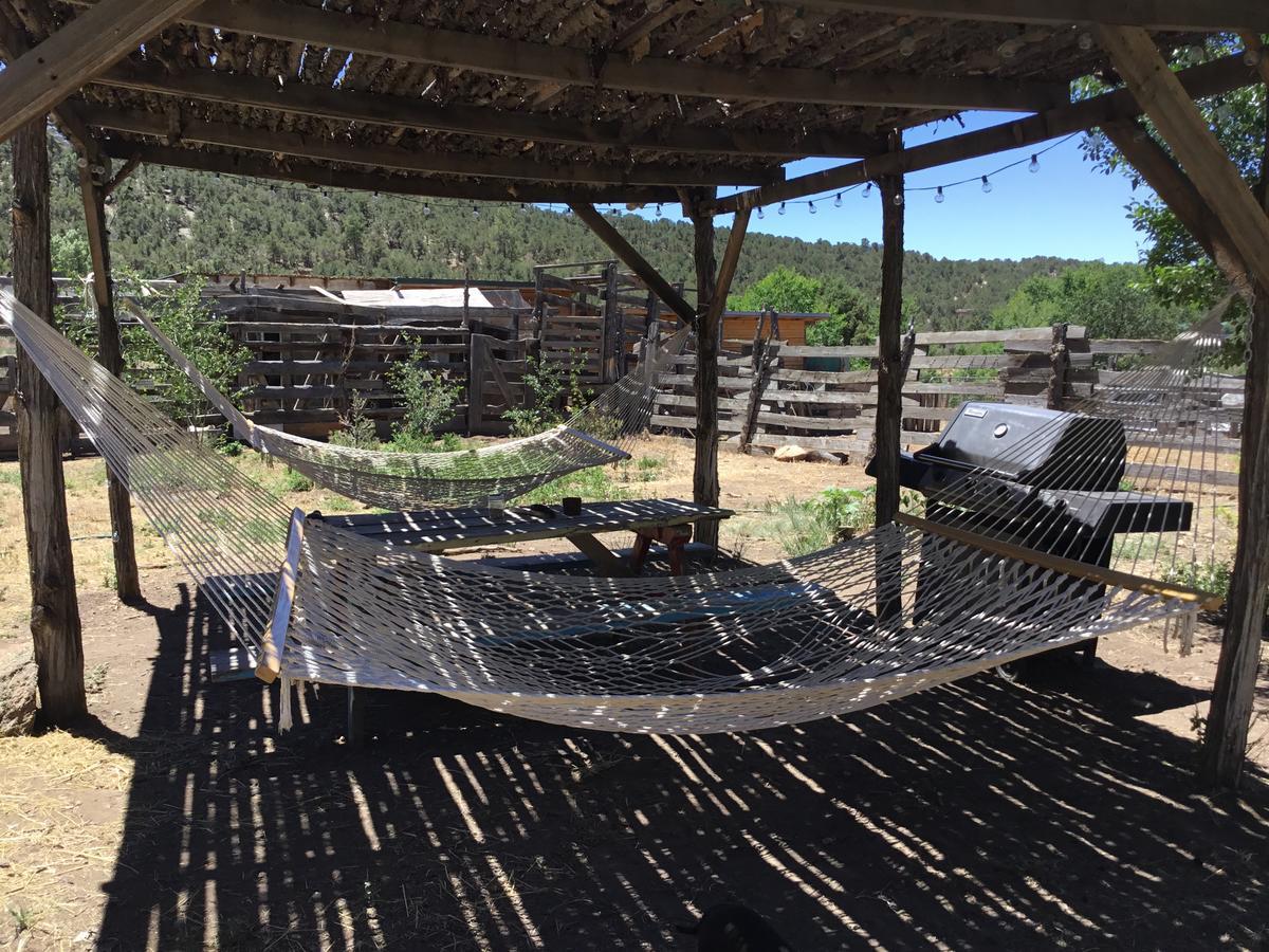 Taos Goji Farm & Eco-Lodge Retreat Arroyo Seco Exteriör bild